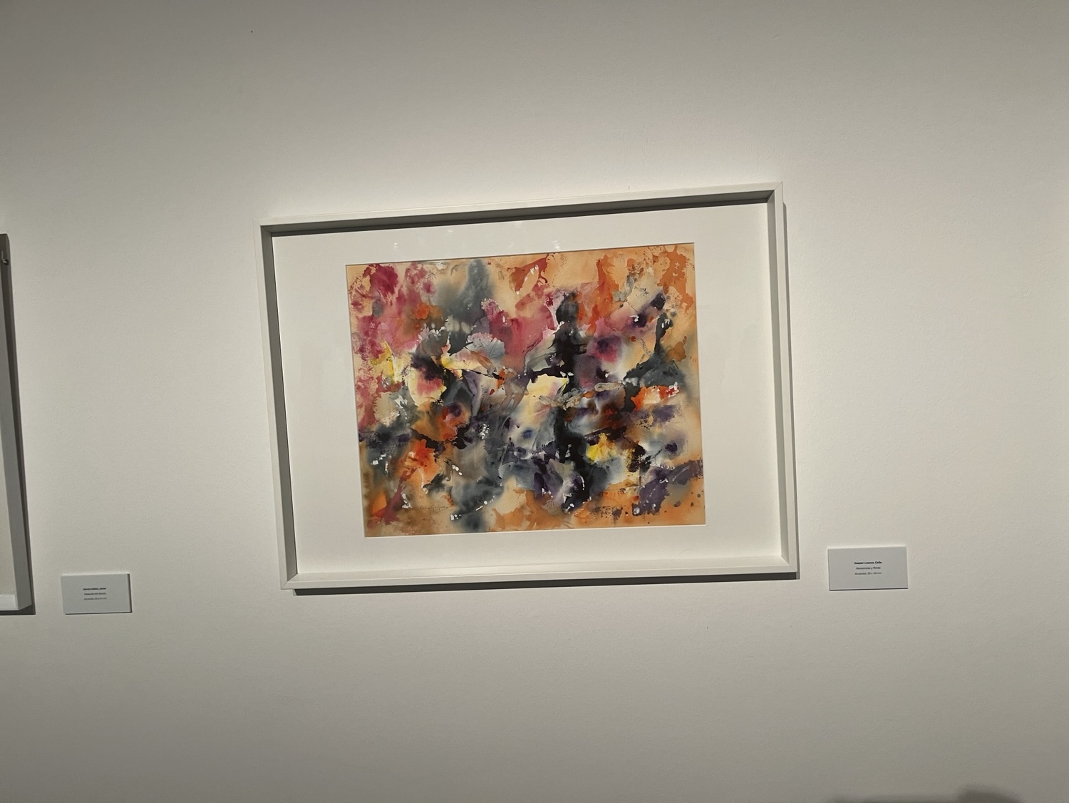 Aspanoa, Exposición Arte contemporáneo 2026